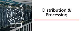 Distribution&Processing